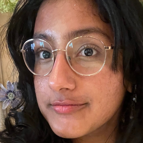 Tutor Image