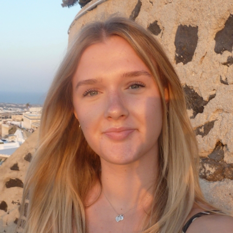 Tutor Image