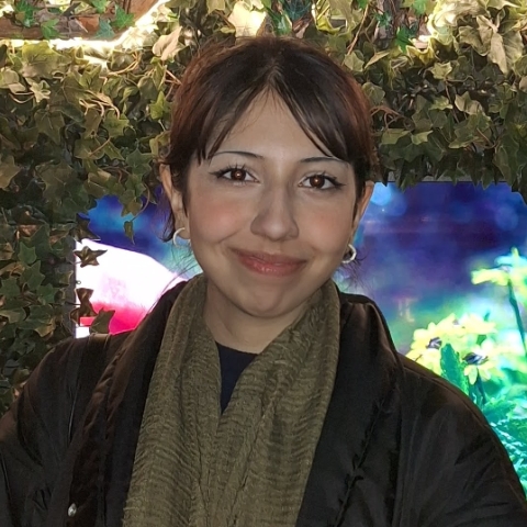 Tutor Image