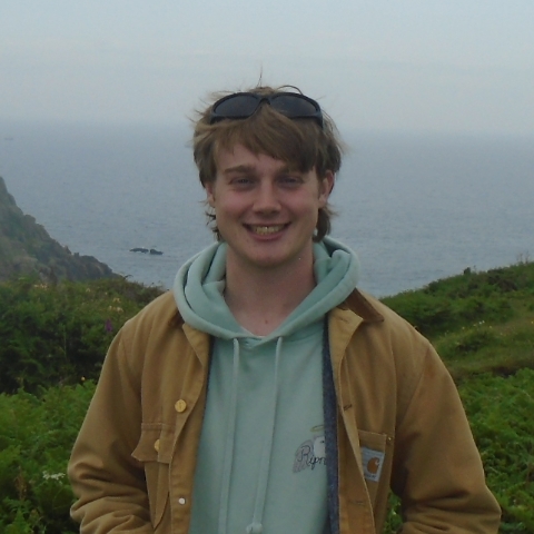 Tutor Image