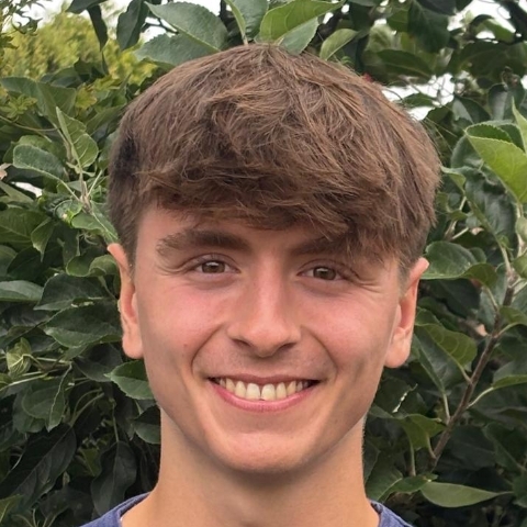 Tutor Image