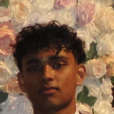 Tutor Image