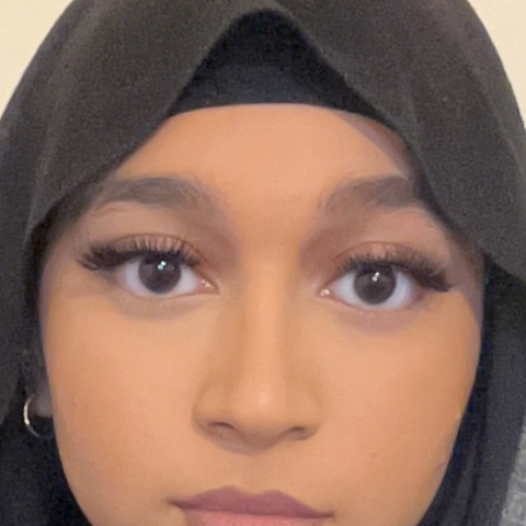 Tutor Image