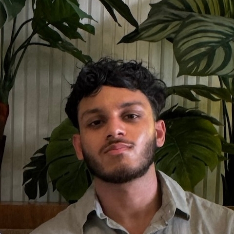 Tutor Image