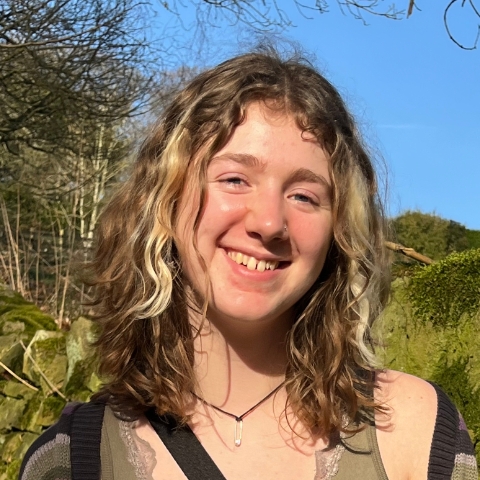 Tutor Image