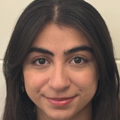 Tutor Image