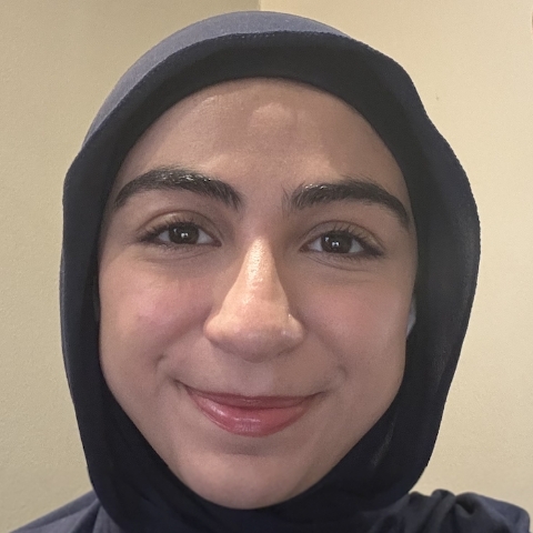 Tutor Image