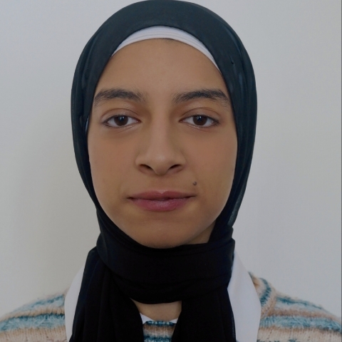 Tutor Image