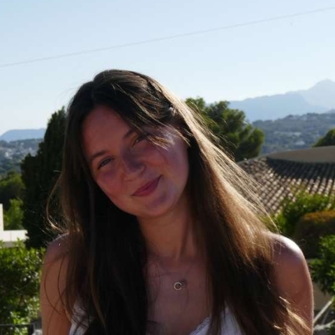 Tutor Image