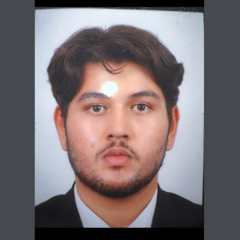 Tutor - Ali S