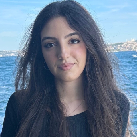 Tutor - Gul K