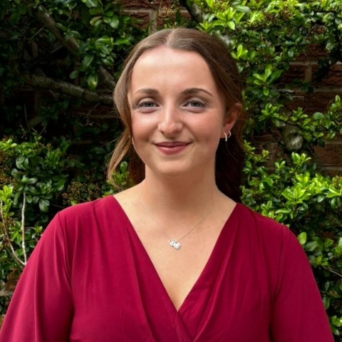 Tutor - Darcy M