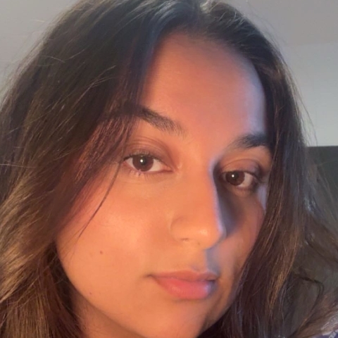Tutor - Lana L