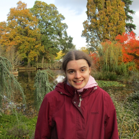 Tutor Image