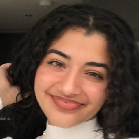 Tutor - Zarmeen H