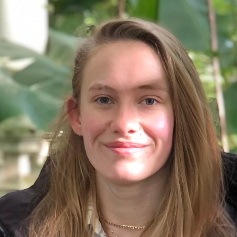 Tutor Image