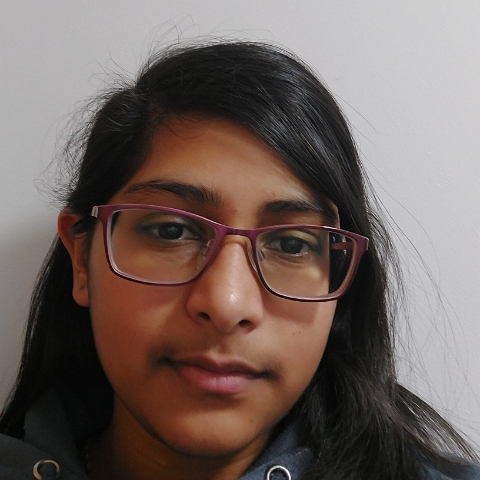 Tutor Image