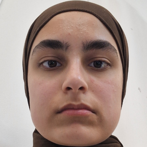 Tutor - Rameen A