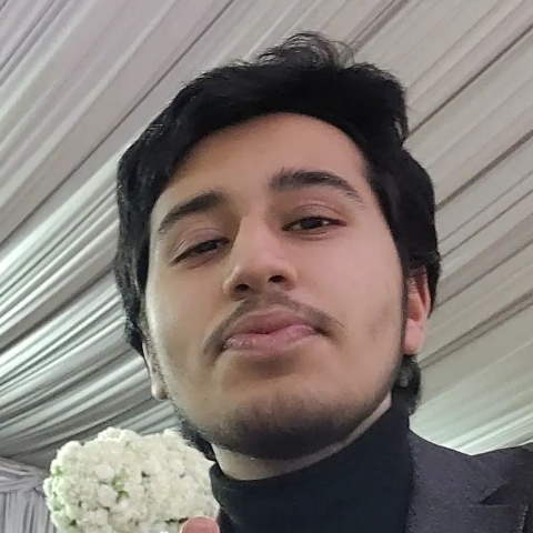 Tutor - Hamza S