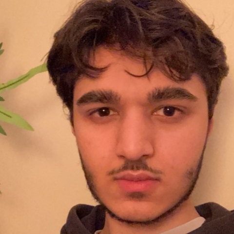 Tutor - Mohammad M