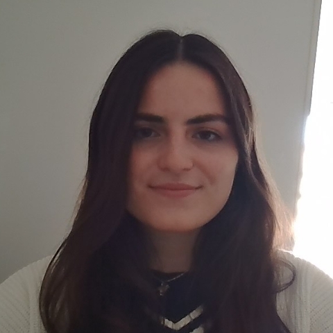 Tutor Image
