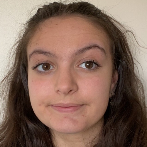 Tutor Image