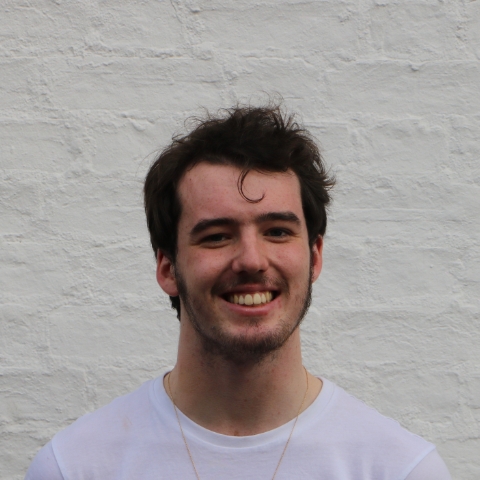 Tutor - Daire T