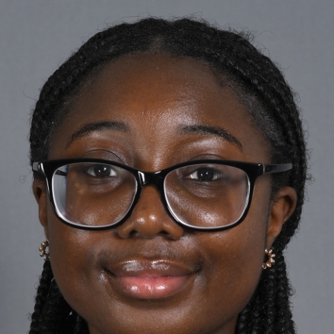 Tutor - Evangeline B