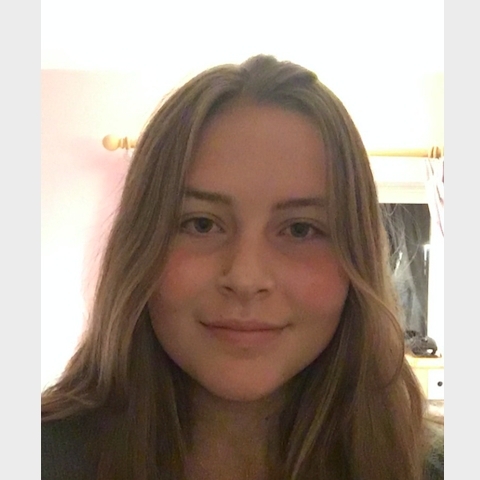 Tutor Image