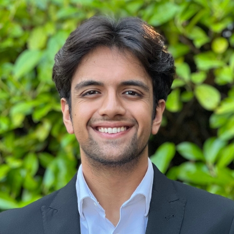 Tutor - Krishan P
