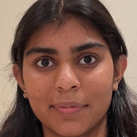 Tutor Image