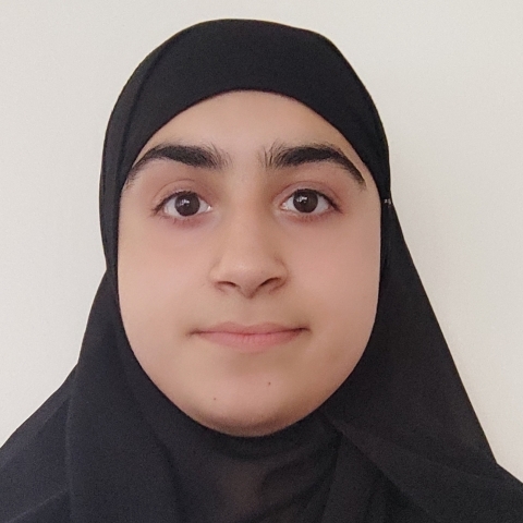 Tutor Image