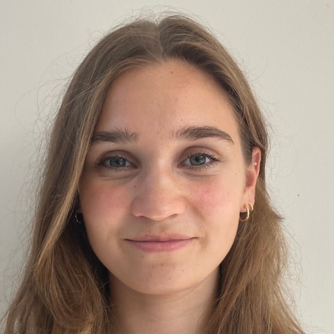 Tutor Image