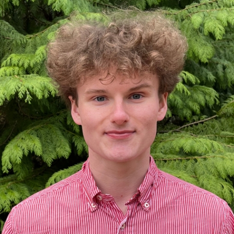 Tutor - Tom C