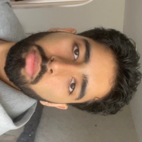 Tutor Image