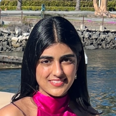 Tutor Image