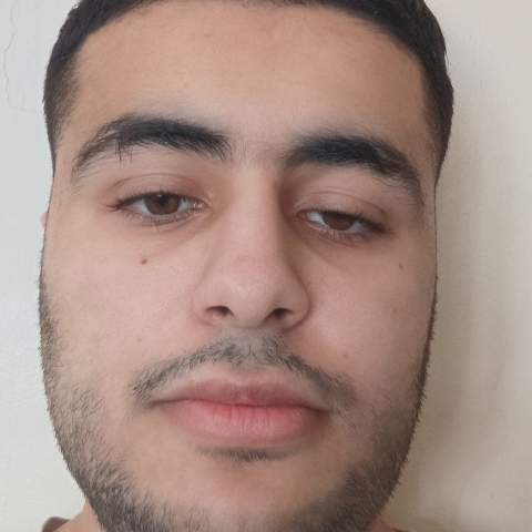 Tutor Image