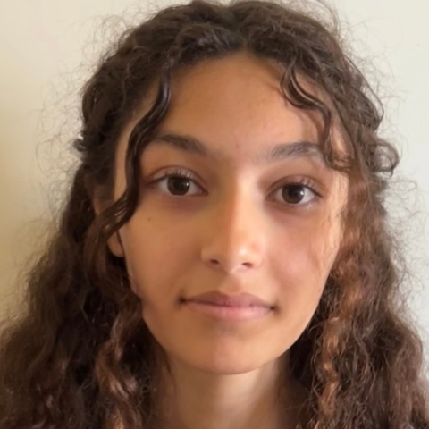 Tutor Image