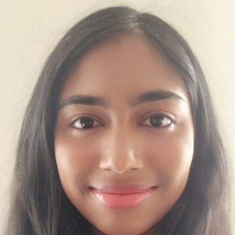Tutor Image
