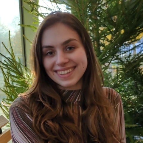 Tutor Image