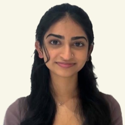 Tutor Image