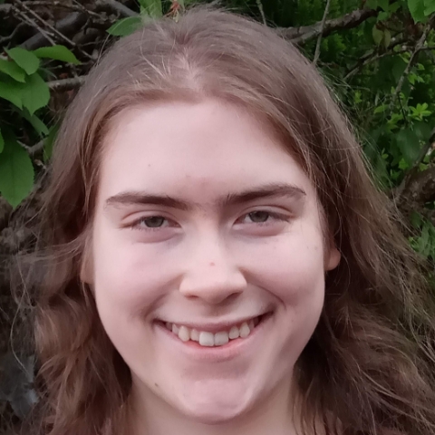 Tutor Image
