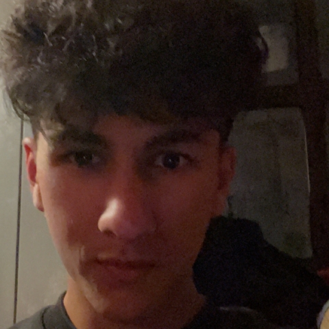 Tutor - Zayn R