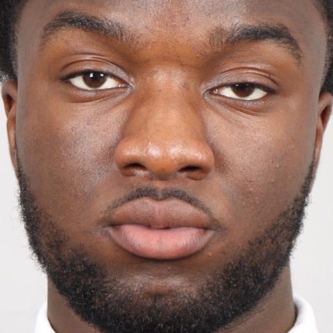 Tutor - Oluwadamisi L