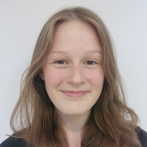 Tutor Image