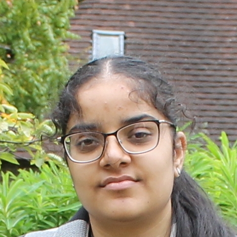 Tutor Image